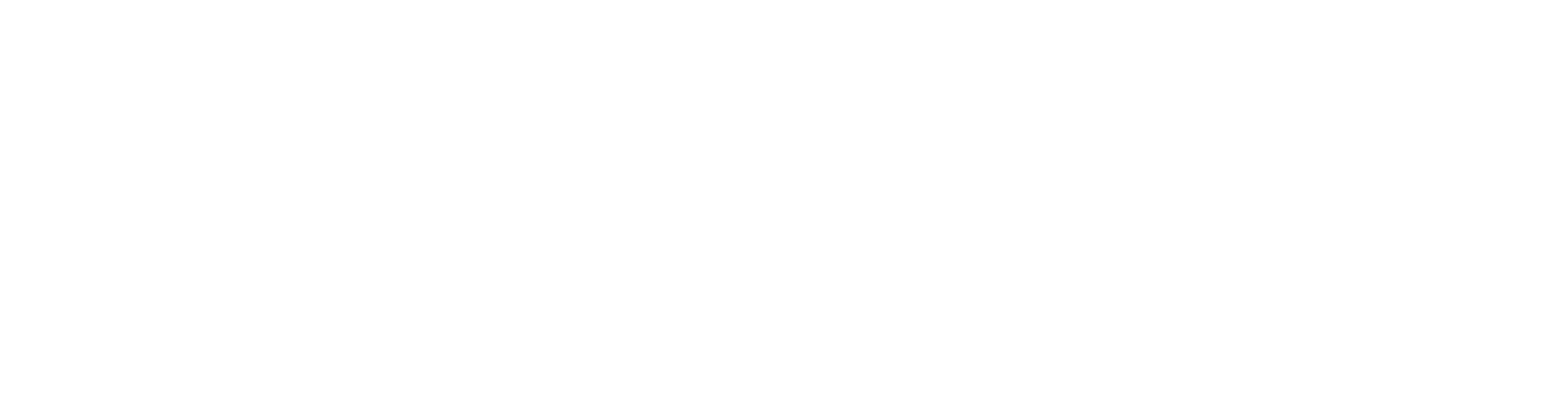 MARS Cosmetics